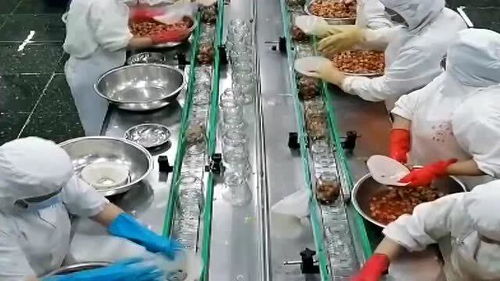 罐頭水果 健康與否，解碼食品廠的“魔法”加工過程