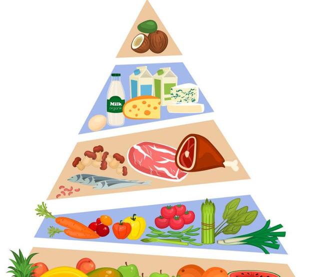 《乳制品與均衡飲食》 開啟健康生活的營養(yǎng)密碼